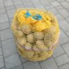 5365c357-c570-46bc-944f-cf79d1cdc7d0 Ziemniaki odmiana Jelly